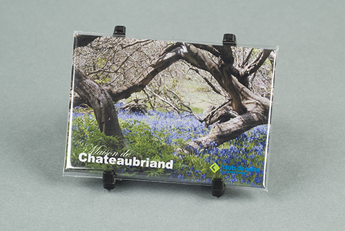 CMAI004 magnet motif catalpa VL