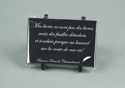 CMAI014 magnet motif citation VL