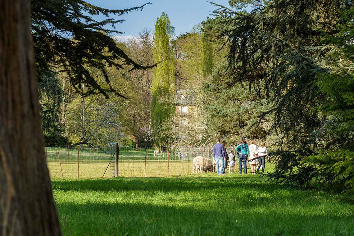 vues parc 03 AL 1140x760px