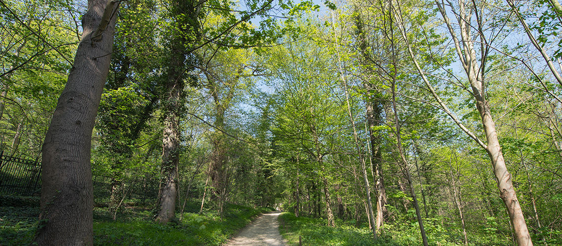 © CD92/Vincent Lefebvre title=